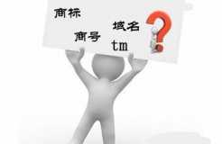 “.商標”、“.TM”，域名商標界的真假美猴王