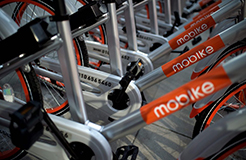 引證商標被撤三！摩拜公司“MOBIKE”商標注冊不具有在先注冊障礙