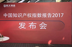 《中國知識產權指數報告2017》—31個省、自治區(qū)、直轄市排名情況