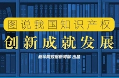 一圖看懂「我國知識產(chǎn)權(quán)“量和質(zhì)”的齊升」！