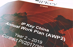 IP Key中國項目2019年度工作計劃公布！