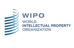 #晨報#WIPO 仲裁與調(diào)解中心成為中國國家頂級域名爭議解決機構（自2019.8.1日起）