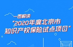 一圖讀懂 | 2020年度北京市知識產權保險試點項目