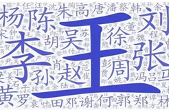 王老吉申請(qǐng)了100個(gè)“姓氏+老吉”商標(biāo)：不是涼茶，是啤酒類(lèi)