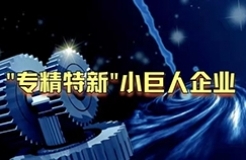 工信部：第三批專精特新“小巨人”企業(yè)達(dá)2930家，是前兩批總和的1.5倍