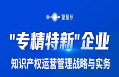 “專精特新”企業(yè)看過來！這有一份你的知產(chǎn)運營“攻略”