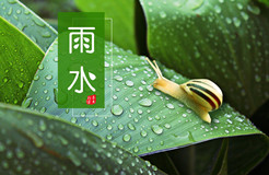 節(jié)日IP記 | 雨水：雨落 花開！