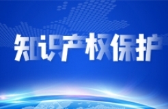 中國(guó)科協(xié)學(xué)會(huì)服務(wù)中心舉辦“加強(qiáng)知識(shí)產(chǎn)權(quán)保護(hù)  服務(wù)科技創(chuàng)新發(fā)展”專(zhuān)題訪談