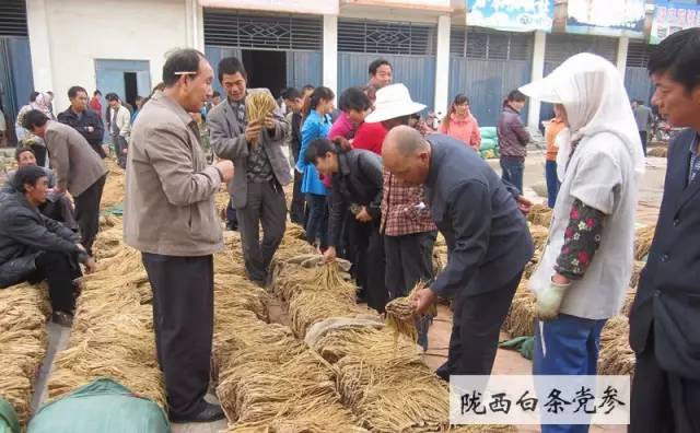 “一帶一路”上值得關注的「地理標志」