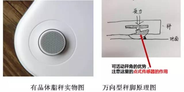 這款神器能檢測出「朋友圈曬的健身步數(shù)」是否是假運動？