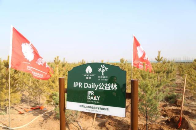 IPRdaily攜手“呼喚森林”共建公益林，為國(guó)家底色填一抹新綠