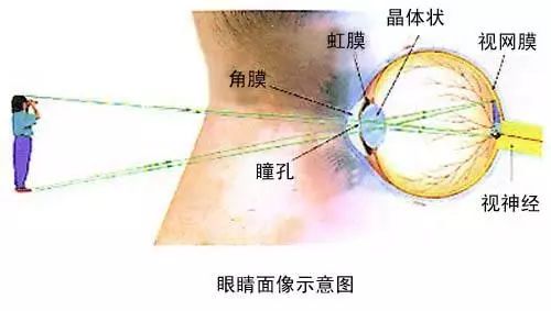 “滴了一年，最后瞎了”！一年賣7億的神藥曝驚人丑聞，延誤病情最終致盲？