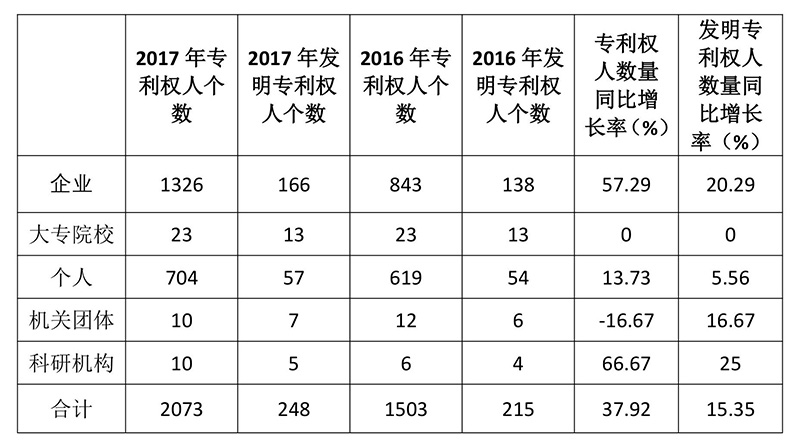 廣州市白云區(qū)2017年專(zhuān)利數(shù)據(jù)分析報(bào)告