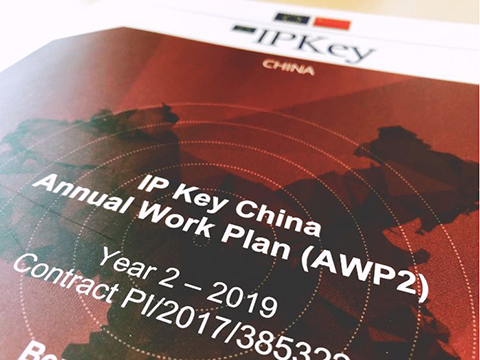 IP Key中國項目2019年度工作計劃公布！