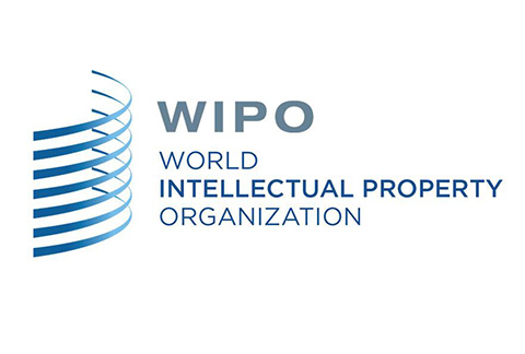 #晨報#WIPO 仲裁與調(diào)解中心成為中國國家頂級域名爭議解決機(jī)構(gòu)（自2019.8.1日起）