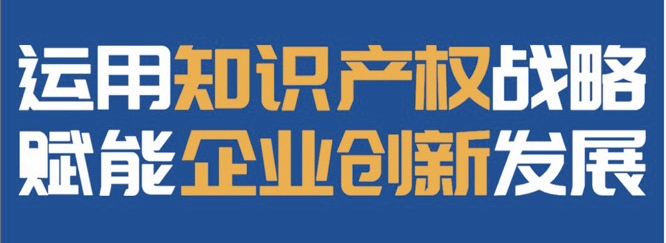 第十屆中國知識產(chǎn)權(quán)年會 “運(yùn)用知識產(chǎn)權(quán)戰(zhàn)略.賦能企業(yè)創(chuàng)新發(fā)展”論壇成功舉辦