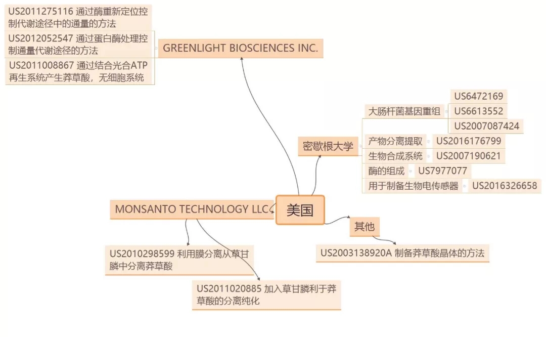 抗流感神器源起茴香八角？？？