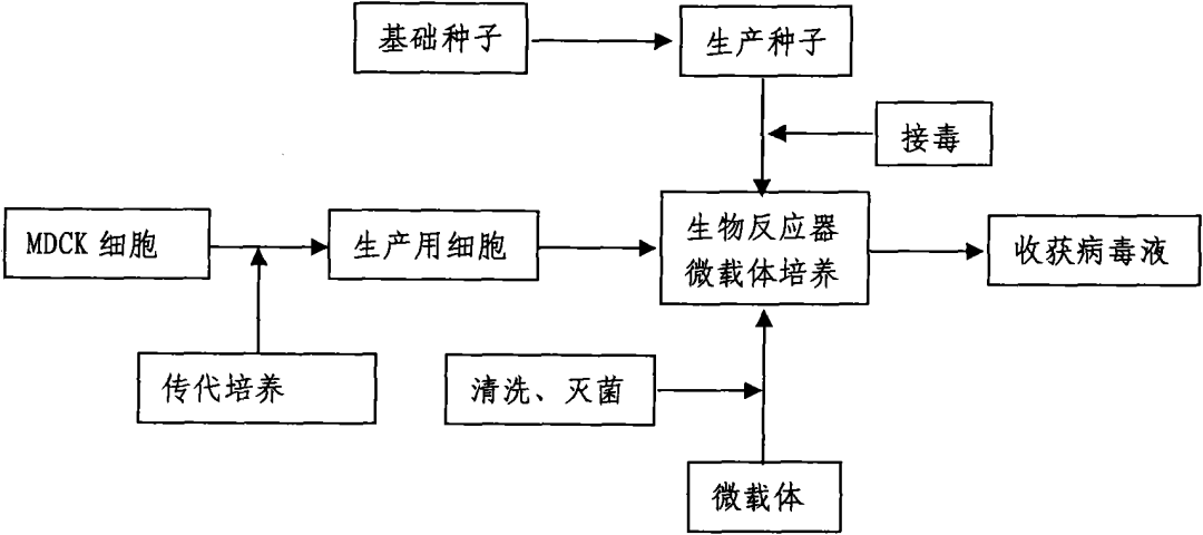 流感高峰期已到,請(qǐng)大家注意防范！——流感疫苗專利分析