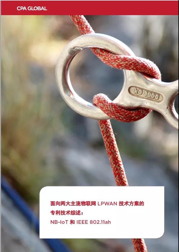 思保環(huán)球（CPA Global）專家為您剖析物聯(lián)網(wǎng)技術(shù)玄機(jī)