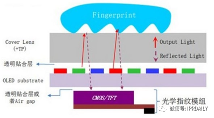 細分領(lǐng)域的專利代理-淺談光電顯示指紋識別技術(shù)