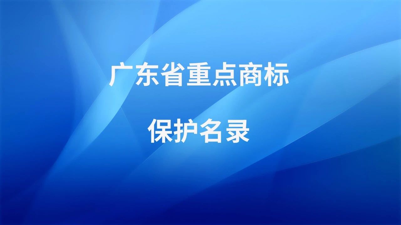 廣東商標(biāo)協(xié)會(huì)2020大事記