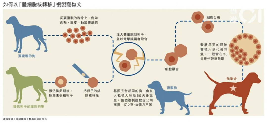 “寵物熱與知識(shí)產(chǎn)權(quán)”專題（下）：挑戰(zhàn)篇/變革篇/征稿篇