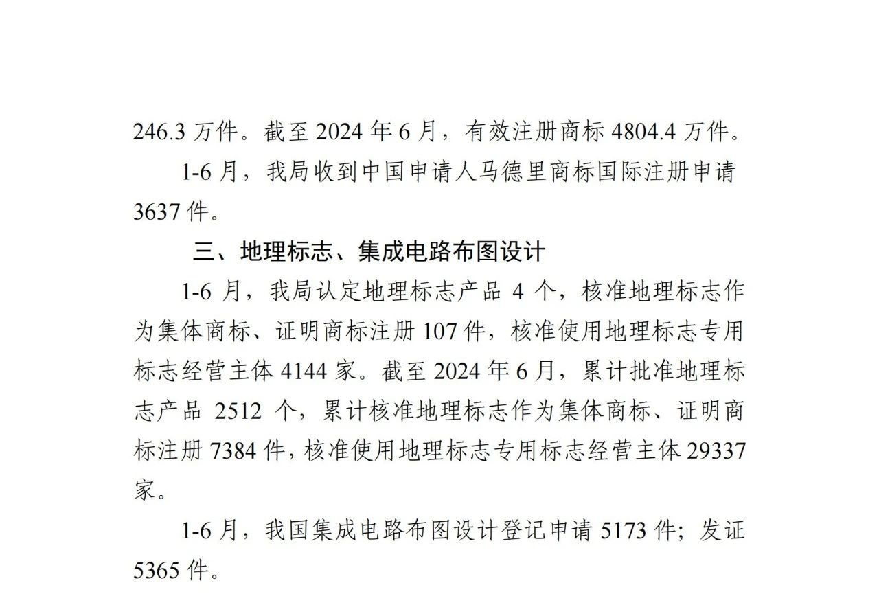 2024年1-6月專(zhuān)利、商標(biāo)、地理標(biāo)志等知識(shí)產(chǎn)權(quán)主要統(tǒng)計(jì)數(shù)據(jù) | 附數(shù)據(jù)詳情