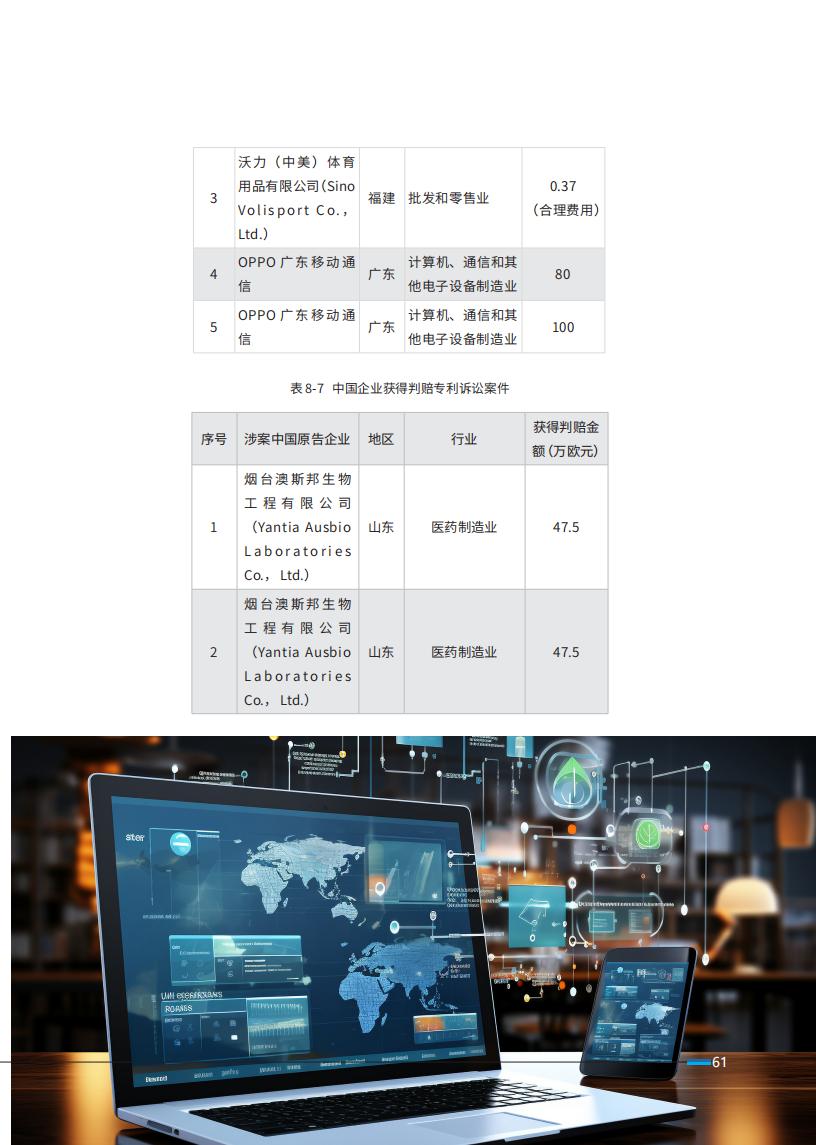 《2024中國企業(yè)海外知識產(chǎn)權糾紛調(diào)查》報告（附全文）