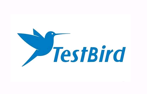 Testbird vs. Testbirds--中國(guó)企業(yè)打贏對(duì)德公司的域名保衛(wèi)戰(zhàn)（附判決書(shū)）