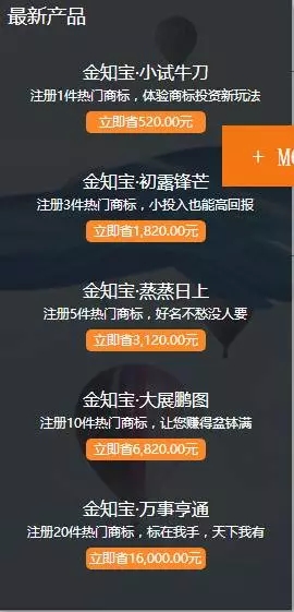 首日流水10萬，個(gè)人投資數(shù)超3000的“商標(biāo)投資新玩法”是怎么玩的？