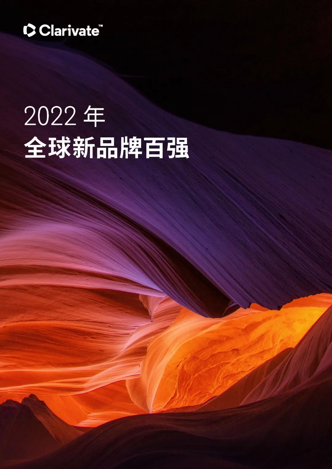 中文報(bào)告下載 | 2022年全球新品牌百?gòu)?qiáng)  ?