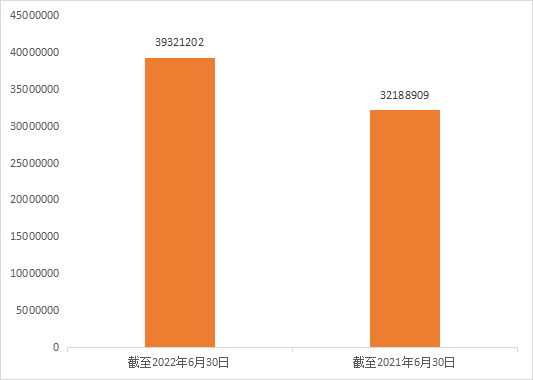 2022年上半年中國(guó)商標(biāo)數(shù)據(jù)報(bào)告已生成  ?