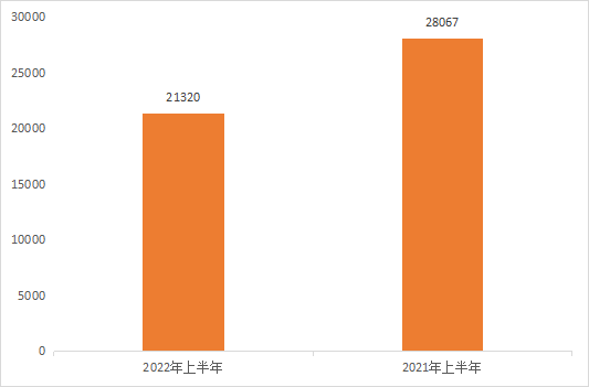 2022年上半年中國(guó)商標(biāo)數(shù)據(jù)報(bào)告已生成  ?